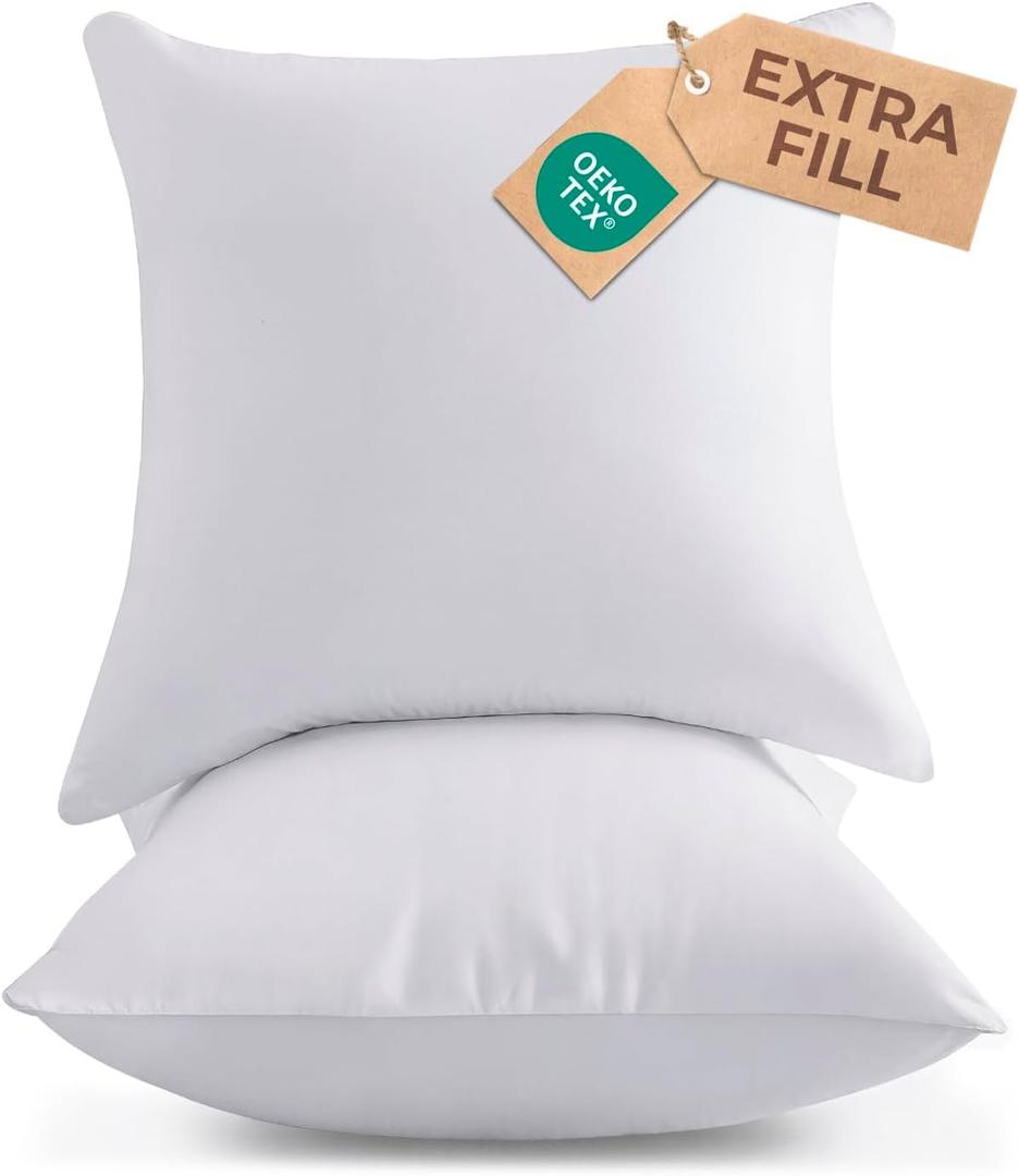 Throw Pillow Inserts 20x20 Set of 2 - Fluffy Down Alternative Fill - 10% More Fill Than Standard Loft - Plump Bounce-Back Support for Indoor & Outdoor Use - Hypoallergenic & Machine Washable - White