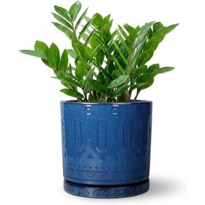 Eightpot 8 Inch Planter, Ceramic Plant Pots with Drainage Hole and Tray, Round Flower Pots for Indoor Plants Outdoor, Boho Planter, Decorative Pot for Plants, Plant Lover Gifts, House Decor, Blue