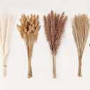 Dried Pampas Grass Decor, 100 Stems Pampas Grass Contains Bunny Tails Dried Flowers, Reed Grass Bouquet for Wedding Boho Flowers Home Table Decor, Rustic Farmhouse Party (17", White and Brown)