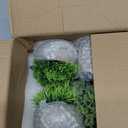 Artificial Potted Plants Small Faux Plants for Shelves, Lifelike Fake Indoor Plants with Cement Pots for Office, Bookshelf & Home Decor