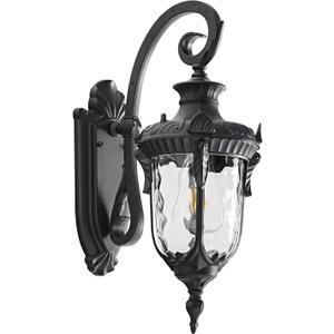 Outdoor Wall Lights, Waterproof Aluminum Porch Wall Light for Outside House, Patio, Yard, Garden, Black Gooseneck Exterior Wall Sconce, Hardwired Outdoor Acorn Shape Lantern Lamp, Water Ripple Glass (1 Pack, Regular)