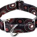 Martingale Dog Collars Colourful Oil Painting Pattern Series - No Pull Pet Collar Silky Soft for Medium and Large Dogs (Large, 1 Inch Wide, Firework Dots -Black)