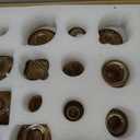 RUCKACE Bud Vases in Bulk 22 Gold Glass Small Vases Flower Vase for Centerpiece Table Wedding Decorations Home Decor Party