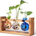 Mimorou Plant Propagation Stations Plant Terrarium with Wooden Stand Hydroponics Glass Vase Planter for Home Office Garden Table Decoration(Pumpkin)