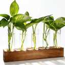 Plant Propagation Station, Plant Terrarium with Wooden Stand, Plants Pots for Hydroponics, Small Birthday Gardening Gifts for Women Mom Plants Lovers Unique - 5 Glass Test Tubes Vases