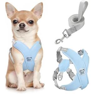 Pawaboo Small Dog Harness and Leash Set, Puppy Harness X-Frame No Pull No Choke, Dog Vest Harness Adjustable for Small Medium Sized Dogs, Soft Breathable Pet Harness for Walking Outing (S, Blue)