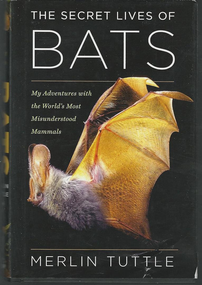 The Secret Lives Of Bats: My Adventures with the World's Most Misunderstood Mammals, Book