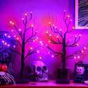 Ganeen 2 Pcs Halloween Decorations Indoor 24 Inch/2 ft Lighted Orange and Purple Birches Tree with Timer 48 LED Lights Willow Battery Operated Artificial Black Tabletop Spooky Tree for Home and Party