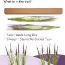 24'' Tall Faux Lily Turf (Liriope Muscari), Realistic Ornamental Grass with Small Violet-Purple Flowers (6 Pack)