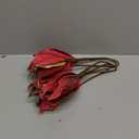 Briful 12'' Large Heads Christmas Glitter Poinsettia Flowers Christmas Tree Ornaments Set of 4 Artificial Flowers with Long Stems for Xmas Tree Party DIY Holiday Decorations, Burgundy