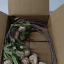 Artificial Silk Flowers Beige 10 Stems + Eucalyptus, Faux Flowers For Vase, Fake Mums Long Stem, Tan Nude Cream Neutral Floral, Chrysanthemum Pom Pom Floral Arrangements, Mini Faux Mums Flower Bulk