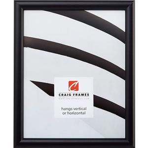 Craig Frames 13x19 Black Picture Frame, Wall Decor for Art and Photos
A lightweight, shatter resistant acrylic front, made in the USA for a gallery display
