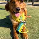 Golf Dog Toy  Funny Dog Christmas & Birthday Gift with Squeaker Rope & Crinkle, Fun & Interactive Puppy Present & Stocking Stuffer