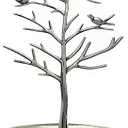 Colorsheng Little Birds Tree Jewelry Earring Necklace Display Stand Jewelrys Storage Towers (Ancient silver)