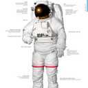 Merriam-Webster’s Visual Dictionary: Second Edition - Newest Edition: Second Edition