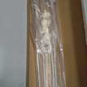 NTW4600YQ1 NTW4650YQ0 NTW4630YQ0 Washer Suspension Rods Replaces WTW4800XQ4 RTW4640YQ0 RTW4640YQ1 WTW4800XQ2 NTW4610YQ0 ATW4675YQ1 MVWC200XW2 WTW4800XQ0 NTW4700YQ1 MVWC200XW0 MVWC200XW3 Washer