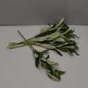 Erlandens 10pcs Faux Olive Leaves Stems 10” Tall Artificial Plants Olive Tree Branches for Small Vase Tabletop Greenery Decor for Home Office Wedding Party (Vase Not Included)