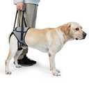 Dog Lift Harness, TORJOY Dog Sling for Small Medium Large Dogs, Dog Support Harness for Back Legs, Adjustable Soft Padded Pet Harness for Olderly, Injured, Arthritic, Disabled Dogs, Grey, XL