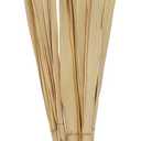 Deco 79 Palm Leaf Home Decor Natural Foliage Tall Natural Dried Foliage with Grass and Dark Brown Stems, Foliage for Decoration 5" x 5" x 58", Light Brown