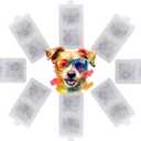 Flowing Fountain Filter Cartridges (LARGE) compatible with Top Paw Brand Fountains - 300 oz. Individually Wrapped and Carbon Activated Filters by Trinity Marketplace.