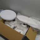 52 Inch Ceiling Fans with Lights and Remote/APP Control, Low Profile Ceiling Fans with Dimmable White + RGB Ring Lights, 6 Speeds 5 Curved Blades for Kids Room Bedroom Bar, White