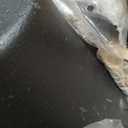 uyoyous 14 Inch Cast Iron Dinner Bell, Heavy Duty Outdoor Farmhouse Bell, Large Church Bell for Ranch, Garden & Rustic Decor