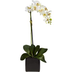 Nearly Natural 20in. Orchid Artificial Arrangement in Black Planter, White