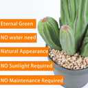 Artificial Cactus Fake Cacti 16" Faux Potted Cactus Plants for Home Store Office Decoration