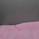 POCBLUE Dog Beds Large Sized Dog, Washable Plush Pet Bed for Crate, Anti-Slip Pet Mat for Cages, Comfy Crate Pad for Outdoor/Indoor/Car Use, Soft Kennel Pad for Dogs Up to 60 lbs, 35"x23", Pink