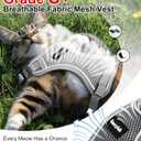 Cat Harness and Leash for Walking Escape Proof Soft Adjustable Cat Leash Breathable Comfortable Vest Easy to Wear Kitten Harness for Outdoor Travel (Grey, M (13-18lb))