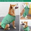 Dog Recovery Suit, After Surgery Wear for Pets Male Female, Professional Dog Onesie for Surgery for Abdominal Wounds Recovery Shirt, Substitute E-Collar & Cone X-Large (Green, XL)