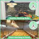 3 Pack Heat Lamp Bulb Replacements for Food Heat Lamp, 250W Heat Lamp Light Bulbs Infrared Heat Bulb, 120v Heating Lightbulbs with E26 Base (3)