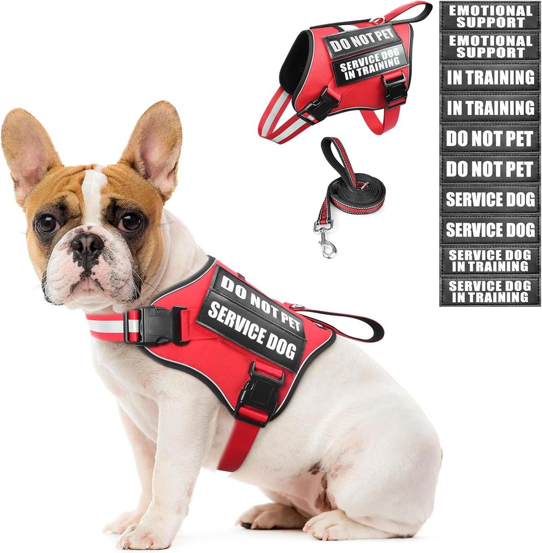Service Dog Vest Harness and Leash Set+10 Patches,No Pull&Adjustable Reflective Dog Harness with Soft Padded Handle for Training/Everyday,Fit Small/Medium/Large/Extra-Large Dogs (Red S)