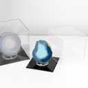 Acrylic Box with Black Base, Simple Self-Assembly Clear Trophy Display Case with Lid, Countertop Clear Square Acrylic Box Cube Storage Containers for Office Home, 7x7x7Inch