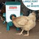 Float-Controlled Automatic Chicken Waterer & No Waste Feeder Kits - Chicken Coop Accessories, Poultry Waterer and Feeder, Two Buckets 3 Gallon/18-23 Pounds