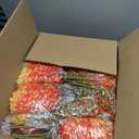 Giegxin Artificial Fall Flowers Bulk for Outdoors Realistic Outdoor Faux Plants Uv Resistant Artificial Wild Flowers, Plastic Plants Fake Wheat Violet for Hanging Garden Porch Window Wall Decor