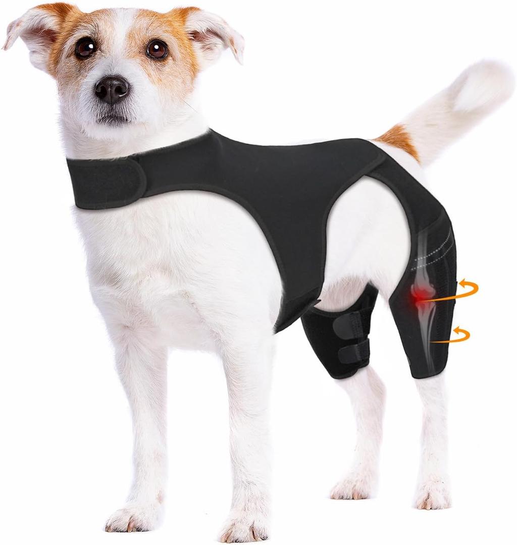 Dog Knee Brace for Torn ACL Hind Leg – Adjustable Dog Leg Braces for Both Back Legs with 4 Stabilizers, Strong Support for Torn CCL, Luxating Patella, Ligament Injuries, Hip Dysplasia,S