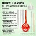 Self Watering Globes, 6 Pack Plant Watering Globes, Glass Automatic Auto Plant Water Bulbs for Indoor & Outdoor Plants,Multicolor Medium, for Daily UseVacation Hydration Devices,watering Can Outdoor