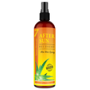 NEW Recovery After Sun Spray with Aloe Vera - Big 12 Fl Oz