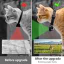 Cat/Dog Camera Collar, HD 1080P with Video Record Wireless Mini Sport Cam,Small Action Cameras,Body Camera for Pet Supplies/No WiFi, Indoor/Outdoor/with 32GB High-Speed Memory Card