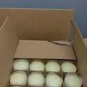 2"x4" High Ivory Pillar Candles, Set of 20 Unscented. Bulk Buy. Ideal for Halloween, Wedding, Emergency Lanterns, Household, Wedding and Home Dcor Candlesticks