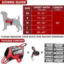 Service Dog Vest Harness and Leash Set+10 Patches,No Pull&Adjustable Reflective Dog Harness with Soft Padded Handle for Training/Everyday,Fit Small/Medium/Large/Extra-Large Dogs(Red L)