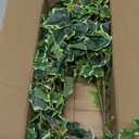 Hollyone Artificial Hanging Plants 36" Fake Ivy Vine Faux Ivy Leaves Hanging Plant Greenery for Wall House Room Patio Indoor Outdoor Home Shelf Office Wedding Decor (Medium-1 Pack, Style 1)