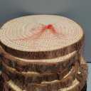 Amazon.com: FUNSUEI 12 PCS 6-7 Inches Unfinished Natural Wood Slices, Natural Wood Coasters with Bark, Wooden Circles for DIY Arts and Christmas Ornaments,Wedding