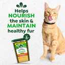 Greenies Cat Treats, Feline Smartbites, Skin & Fur Health, Crunchy and Soft Cat Treats, Chicken Flavor, 16 oz. Tub (EXP 09/02/27)