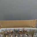 Small Vintage Glass Bottles with Corks, Mini Vases, Decorative Glass Bottle, Potion Bottles, Assorted Design - Set of 14 Assorted Design 5oz 6.5-7 inch Tall 1.8-2.inch Wide.