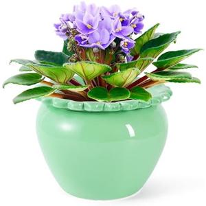 Large African Violet Pots 8 Inch Green Ceramic Easy Plant Self Watering Pot Ceramic Flowerpot with Water Absorbing Inner Pot Orchid Planter for Valentine's Day