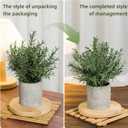 2 Pack Small Fake Plants Rosemary Potted Artificial Plants for Shelf Desk Home Bathroom Farmhouse Room Coffee Table Decor (Green)