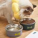 Cat Food and Water Bowls, Stainless Steel Cat Bowls for Small Dogs & Cats, Rust Resistant Stainless Steel, Detachable Durable Silicon Bowl Holder (Gray)