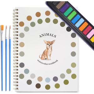 2 x Dancart Watercolor Kit with Outlines, Watercolor Book with 12 Colors Rustproof Box, 3 Brushes & Multi-Theme Painting Kit for Teens & Adults